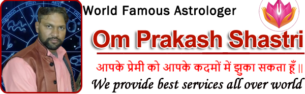   :+91-9602310265